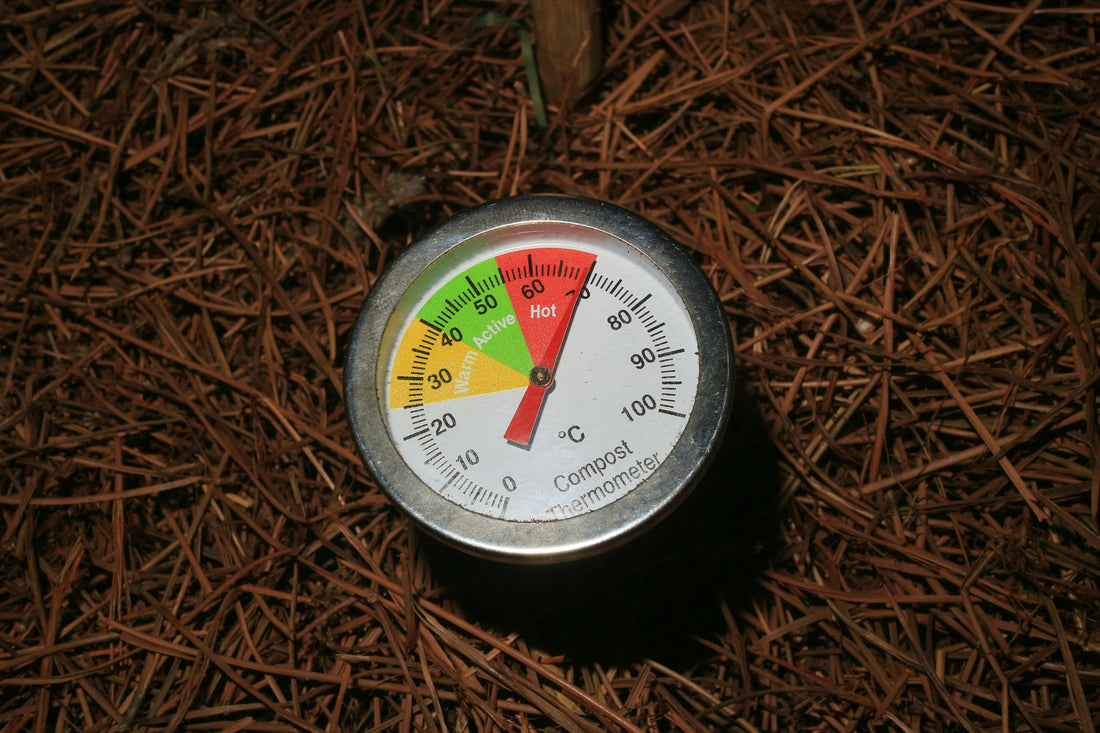 Mastering the Garden Timing Game