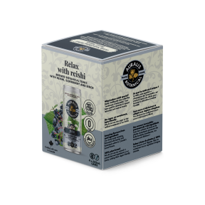 Auralis Botanical Reishi (Relaxed) Elderberry & Birch 4 x 355ml - Budelas