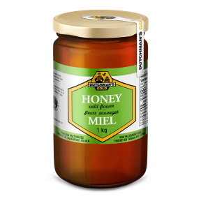 Dutchman's Gold Inc. Wildflower Honey 1kg - Budelas