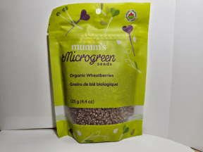 Wheat Berries - Budelas
