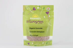 Coriander Seed (Cilantro) - Budelas